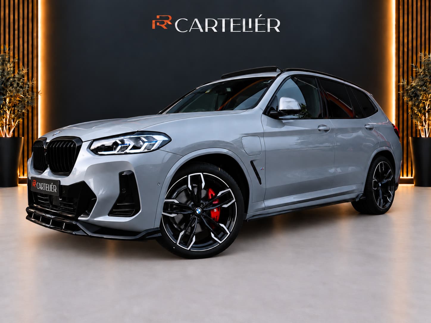 BMW X3 Banner